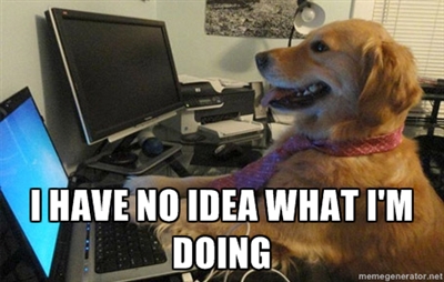 http://leedshackspace.org.uk/wp-content/uploads/2014/05/i-have-no-idea-what-im-doing-dog.jpg